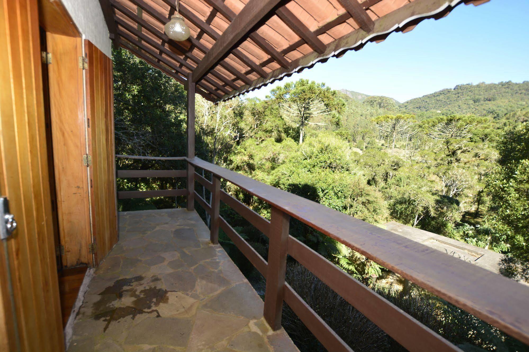 Pião Mineiro 3*